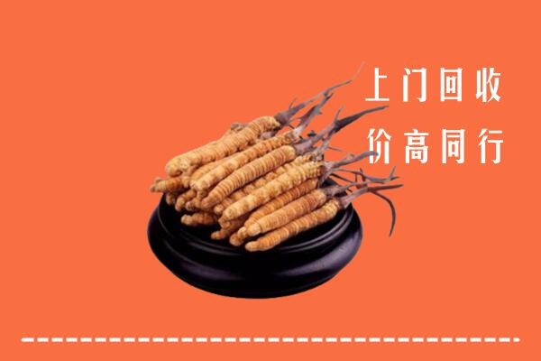 高价求购：攀枝花市米易回收散虫草