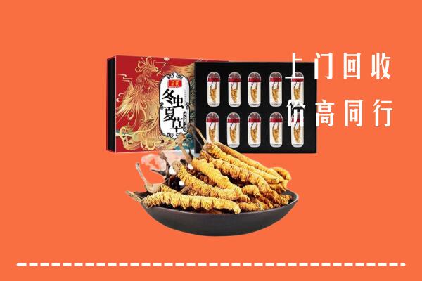 收购行情：攀枝花市米易回收虫草